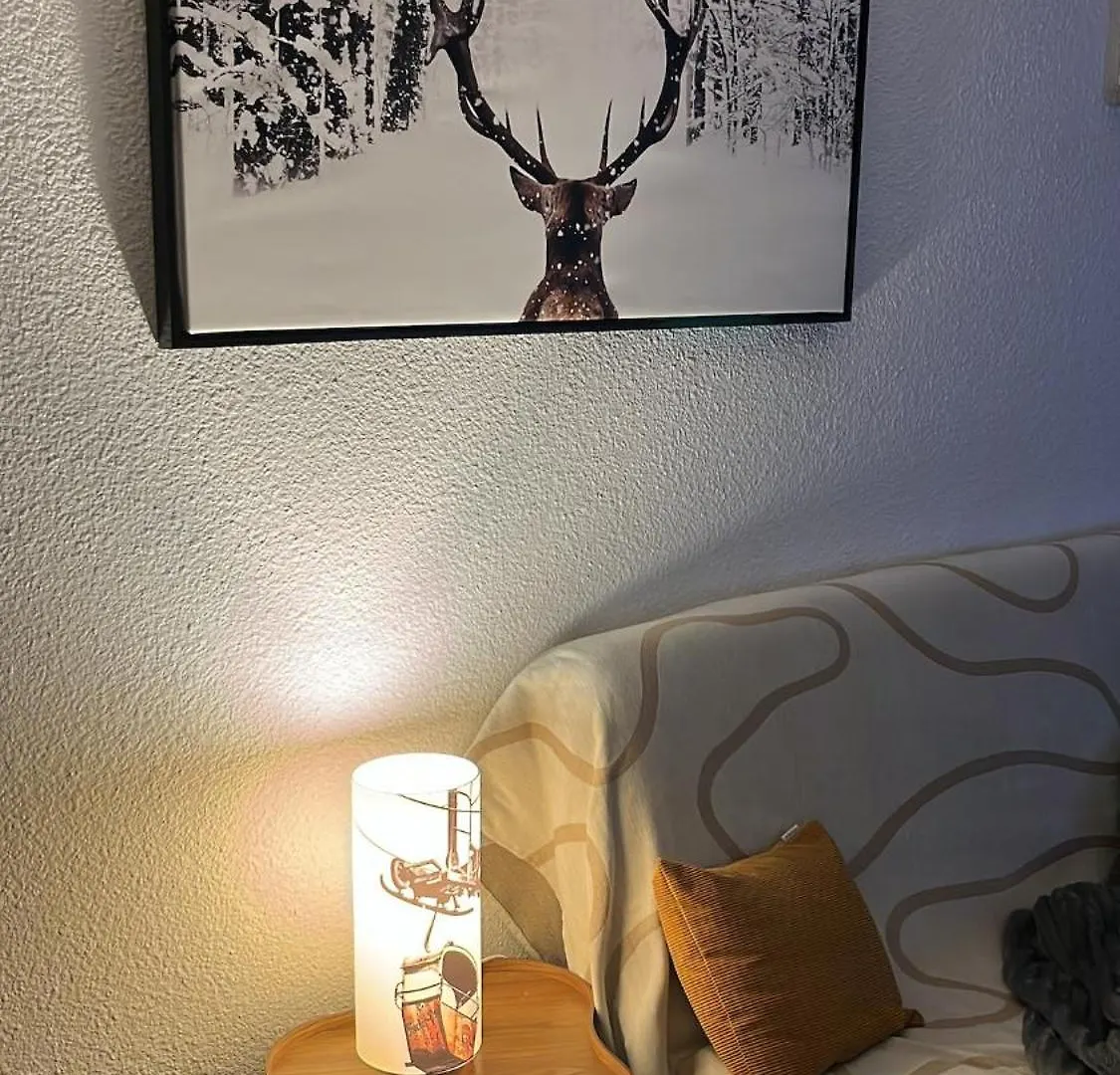 Appartement Saint Lary Soulan 0*, سانت لاري سولون فرنسا